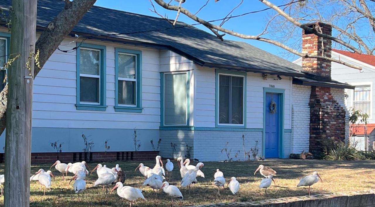 Pool Home Sleeps 6 With Large Fenced Yard Джэксонвиль Экстерьер фото